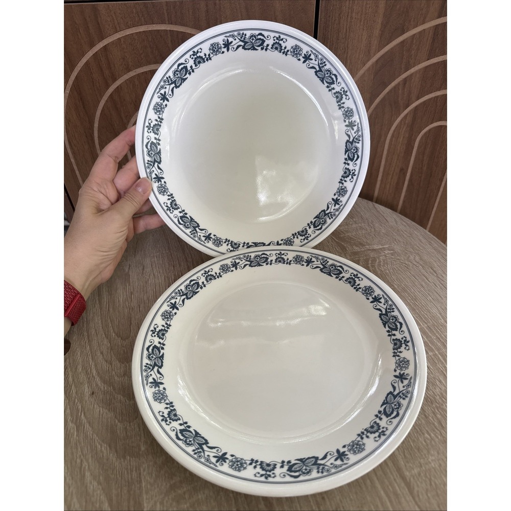 Corelle Old Town Blue Dinner Plates 10.25" Set of 2 Corning Blue Onion Border US
